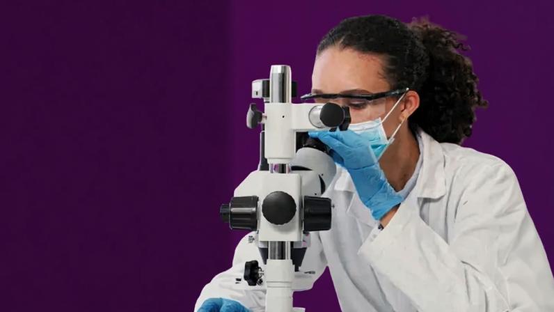 Ilum Escola de Ciência promove inovações e formação