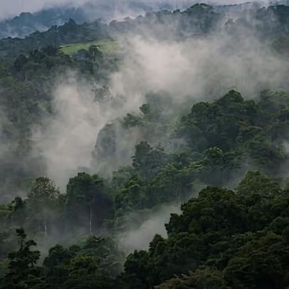 Tarefas enfadonhas que a IA quer substituir? Elas ajudam a manter você ativo