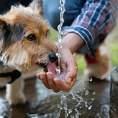 Região se prepara para onda de calor após alertas emitidos