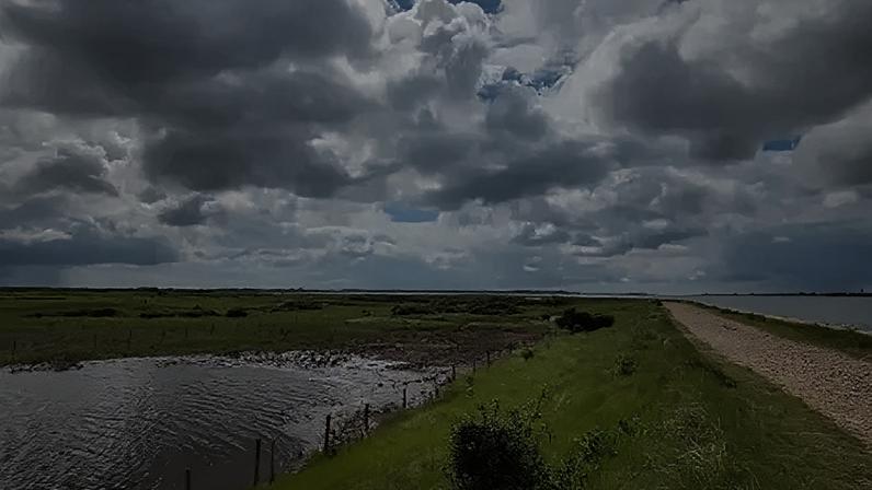 Farlington Marshes near Portsmouth is one of the oldest nature reserves managed by Hampshire and Isle of Wight Wildlife Trust