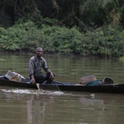 Derramamentos em manguezais da Nigéria: Shell manteve operações, documentos