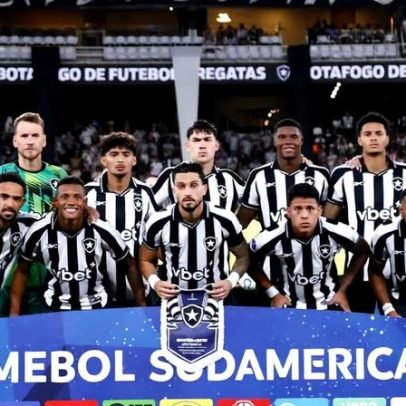 Botafogo: altos e baixos no primeiro semestre mostram quem brilhou e quem falhou