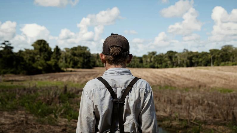 Envolvimento de comunidades menonitas na redução do desmatamento na América Latina