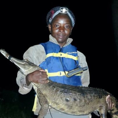 Cientista alerta para proteção do crocodilo trepador da Costa do Marfim