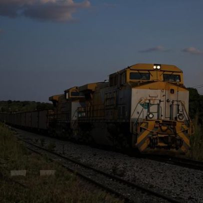 Transporte mais eficiente abre florestas de Moçambique a novas pressões
