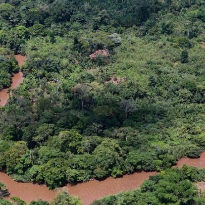 Conservação por famílias deslocadas para parque nacional tem sucesso na RDC
