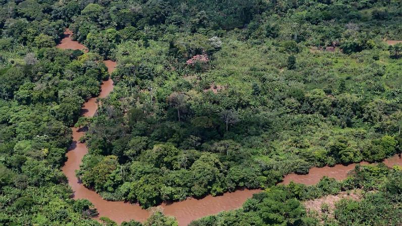 Conservação por famílias deslocadas para parque nacional tem sucesso na RDC