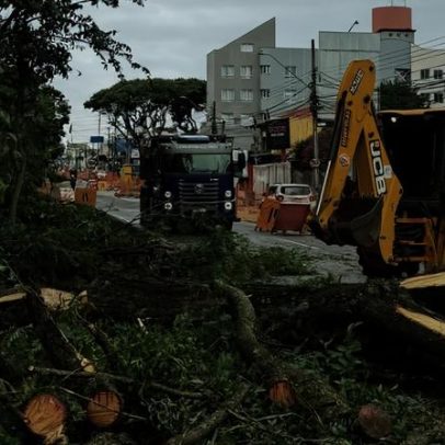 Curitiba ecológica: o mito e o urbanismo de fachada