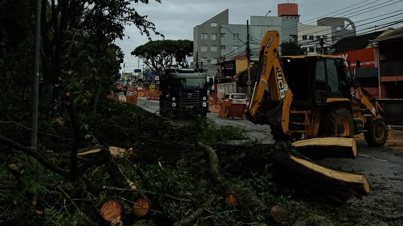 Curitiba ecológica: o mito e o urbanismo de fachada