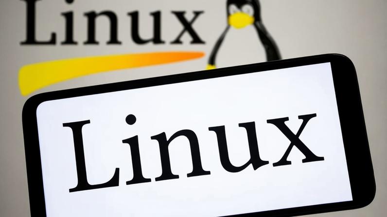 Linux: usuários precisam rever certificados de segurança do sistema (LightRocket /Getty Images)