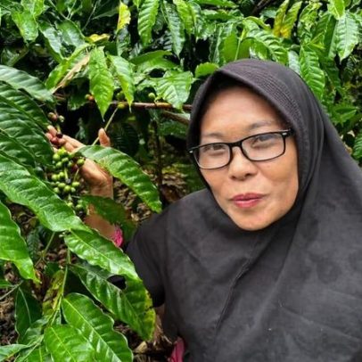 Em Sumatra, manejo florestal social conecta conservação a meios de subsistência