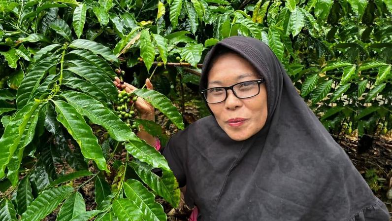 Em Sumatra, manejo florestal social conecta conservação a meios de subsistência