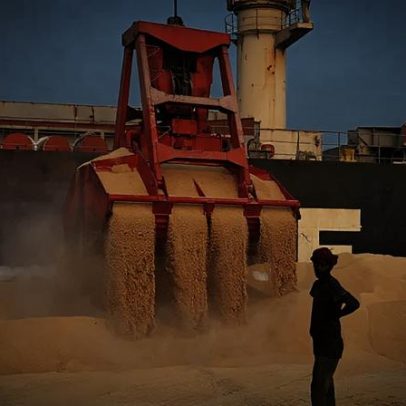 Índia atinge recorde de 200 mil t de soja em maio
