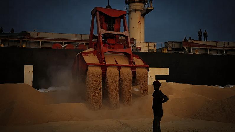 Exigência da Índia por soja não transgênica elevou os preços do grão nos países africanos fornecedores