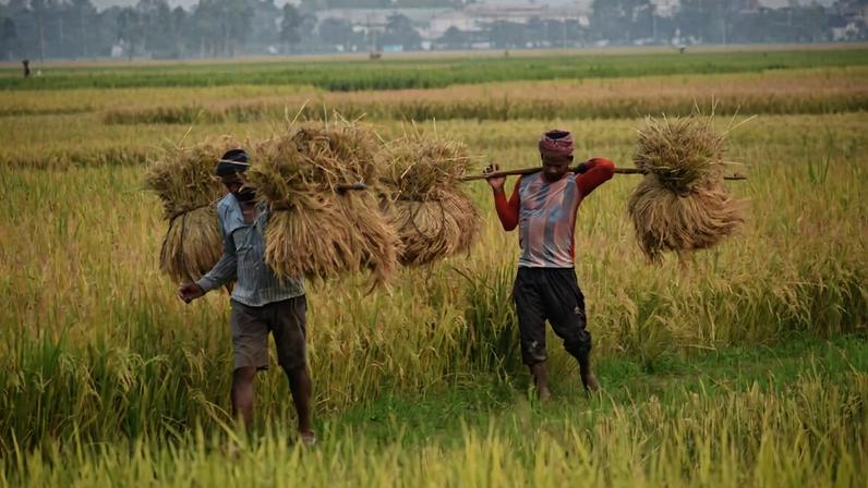 Mortes por raios em Bangladesh persistem com falhas de proteções governamentais