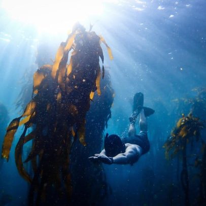 Áreas marinhas protegidas atingem 10% do oceano em 2026, Dia Mundial dos Oceanos