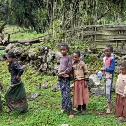 Estudo sugere que áreas protegidas na Etiópia podem afetar bem-estar local