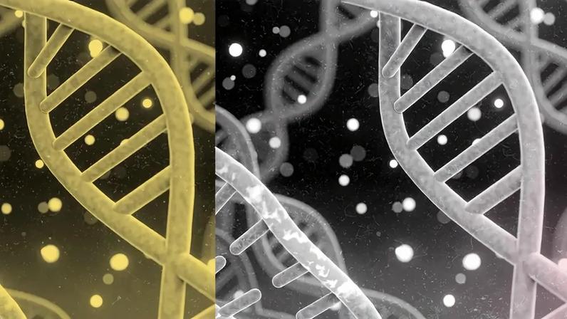 Duas hélices de DNA, uma amarela à esquerda e outra cinza à direita, sobre fundo escuro com pontos de luz. As hélices são interligadas por barras horizontais, e a imagem tem bordas superior e inferior coloridas em azul e vermelho.