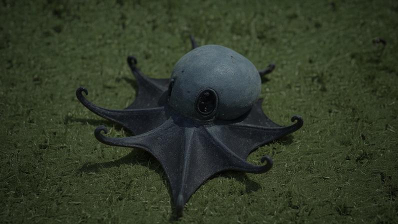 Microeledone galapagensis, a tiny blue octopus, was found in the deep sea in the Galapagos. Image courtesy of the Charles Darwin Foundation.