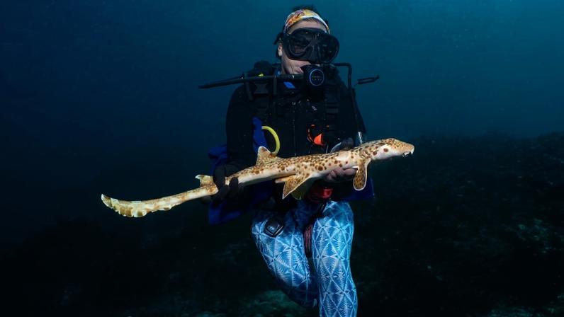 Christine Dudgeon with the newly named walking shark. Image by Nesha Ichida.