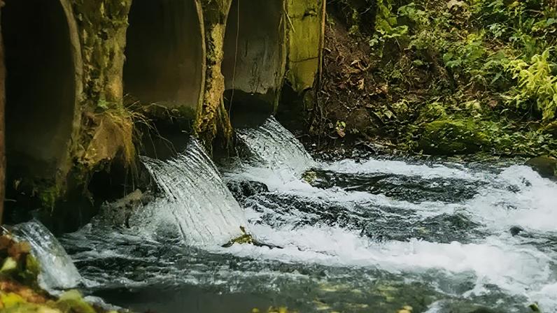 Plano ambiental está fora do rumo, alerta órgão de fiscalização