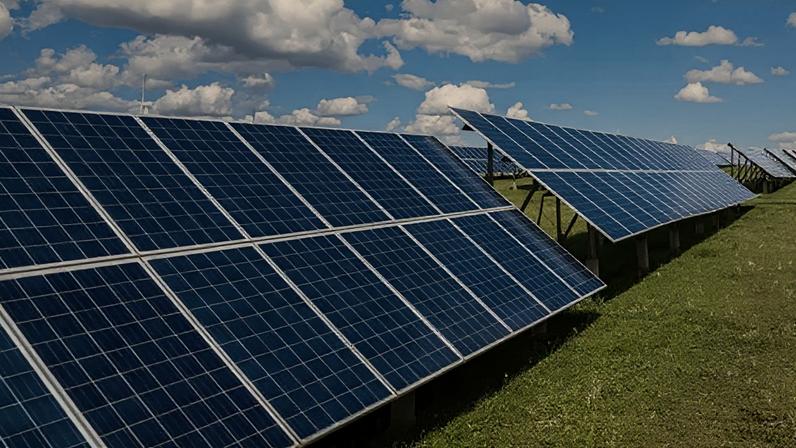 Preocupações com planos de grande fazenda solar