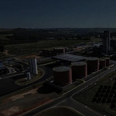 Grupo Daabon consolida aquisição de 100% da Agropalma no Pará