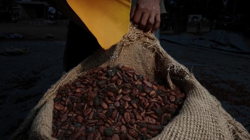 El Niño forte em 2026 aumenta riscos para safras tropicais globais