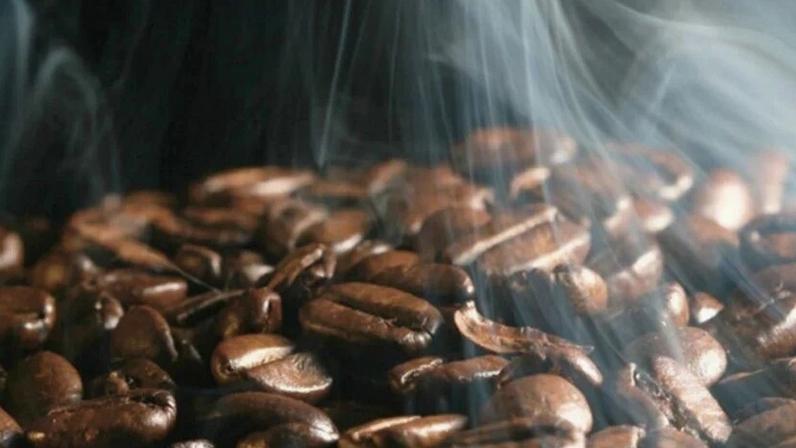 Grãos torrados de café arábica