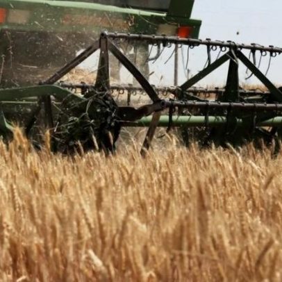 Estoques recordes de grãos contêm impactos do El Niño no mercado global em 2026