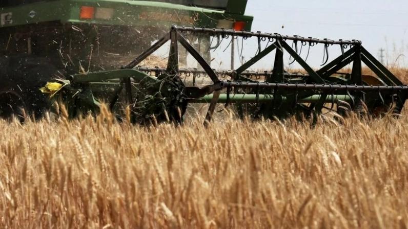 Estoques recordes de grãos contêm impactos do El Niño no mercado global em 2026