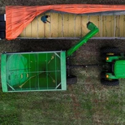 Inadimplência no Agro atinge 8,2% em 2025, aponta Serasa Experian