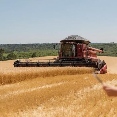 Preços de alimentos caem em maio, próximos do pico de três anos, diz FAO