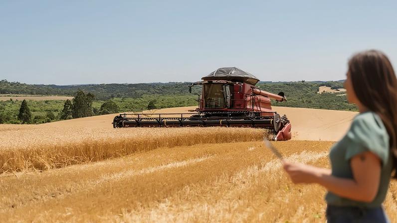 Preços de alimentos caem em maio, próximos do pico de três anos, diz FAO