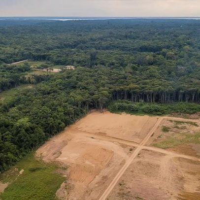 Inpe aponta queda de 61,4% no desmatamento da Amazônia em maio