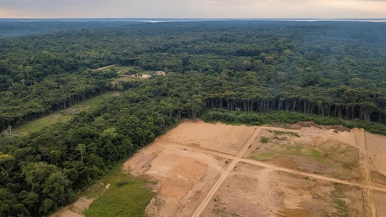 Inpe aponta queda de 61,4% no desmatamento da Amazônia em maio