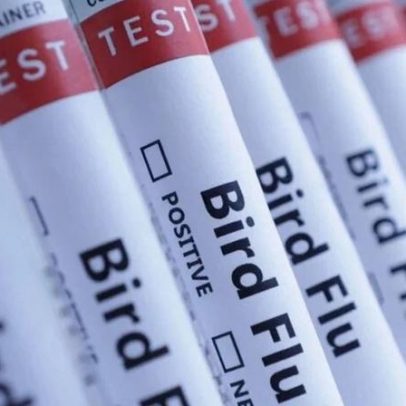 Austrália Detecta Primeiro Caso Suspeito de Gripe Aviária H5