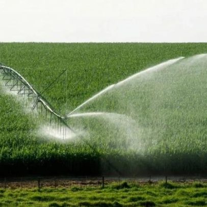 Brasil já pratica Agricultura Regenerativa, revela Forbes Mulher Agro
