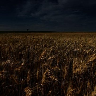 Clima chuvoso afeta colheita de soja e plantio de trigo na Argentina
