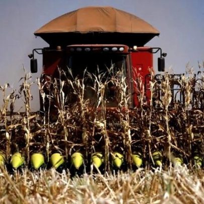 USDA eleva previsão de safra e consumo de milho do Brasil para 2025/26