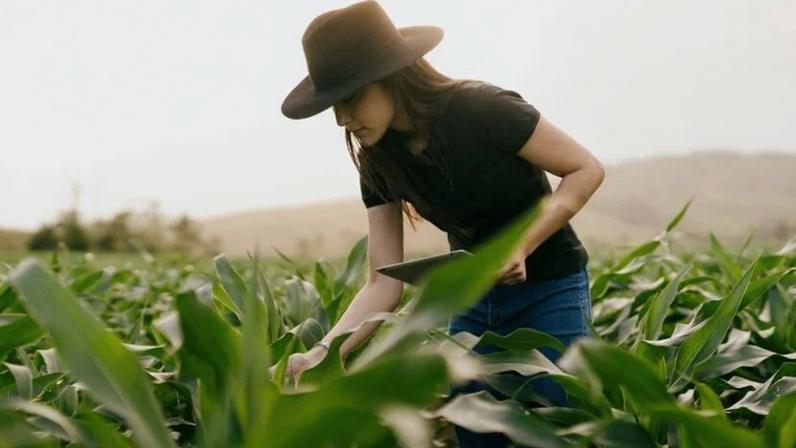 Forbes Mulher Agro: Campo entra na era da eficiência