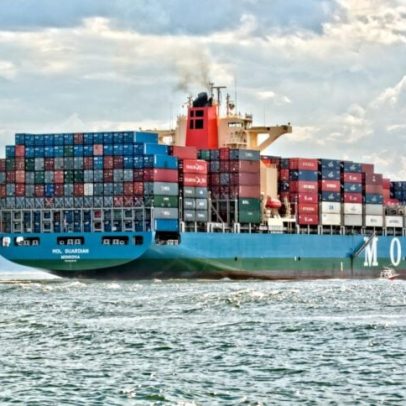 Exportação de frango do Brasil ultrapassa US$1 bi por mês pela 1ª vez, diz ABPA