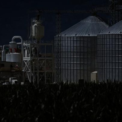 OMI define pegada de carbono do etanol de milho brasileiro em 20,8 g