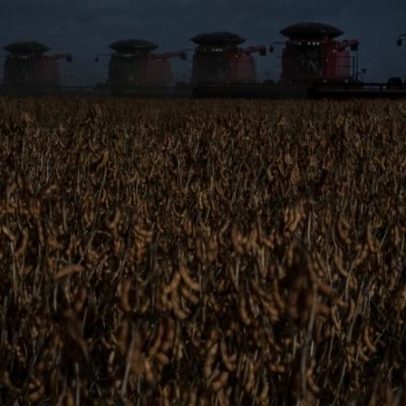 Bionematicidas redefinem a produtividade no agronegócio brasileiro