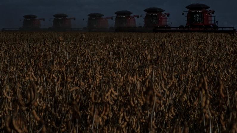 Bionematicidas redefinem a produtividade no agronegócio brasileiro