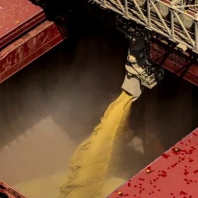 EU reduz importação de soja 4% na safra 2025/26; Brasil avança