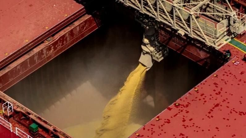 EU reduz importação de soja 4% na safra 2025/26; Brasil avança