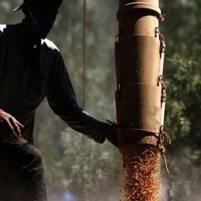 Conab eleva safra de milho para 140,4 milhões de t com produtividade recorde