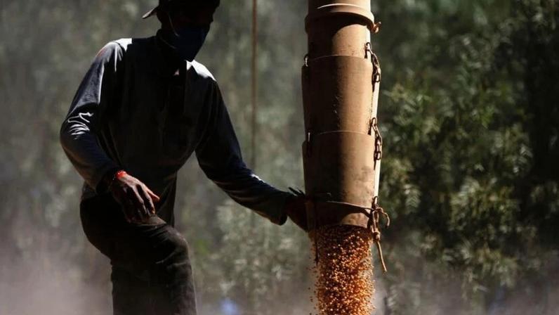 Um trabalhador carrega um caminhão com milho de um silo em uma fazenda perto de Brasília (DF)