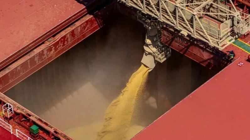 Área de soja no Brasil deve crescer 0,9% em 2026/27, menor avanço em 20 anos